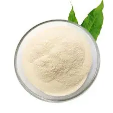 Sodium Alginate